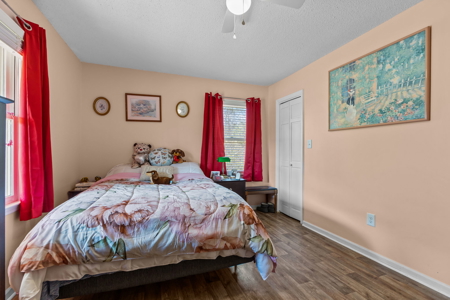 Peaceful Living Minutes to Beaufort - image 23