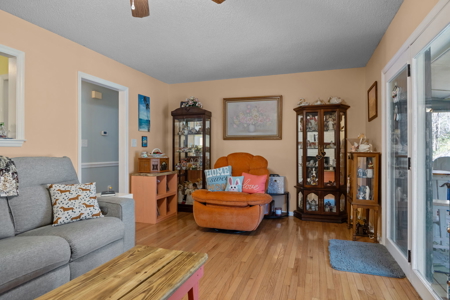 Peaceful Living Minutes to Beaufort - image 33