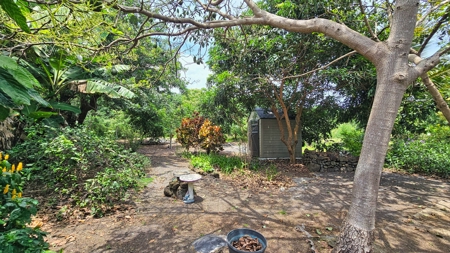 Organic Hawaiʻi mini farm with lush food forest and cozy 1BR home - image 28
