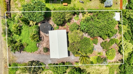 Organic Hawaiʻi mini farm with lush food forest and cozy 1BR home - image 4