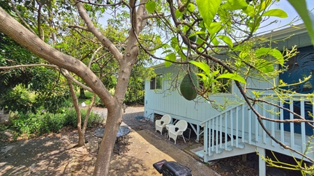 Organic Hawaiʻi mini farm with lush food forest and cozy 1BR home - image 13