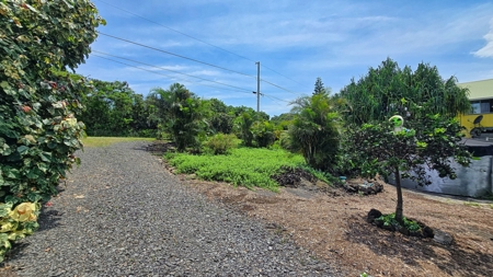 Organic Hawaiʻi mini farm with lush food forest and cozy 1BR home - image 23