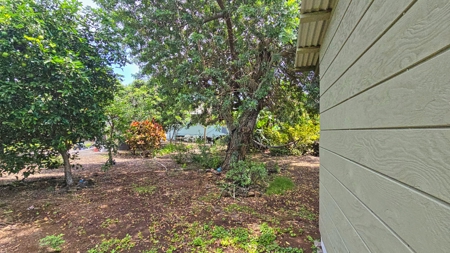 Organic Hawaiʻi mini farm with lush food forest and cozy 1BR home - image 29