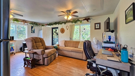 Organic Hawaiʻi mini farm with lush food forest and cozy 1BR home - image 17