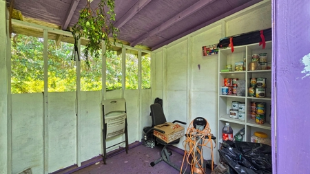 Organic Hawaiʻi mini farm with lush food forest and cozy 1BR home - image 19
