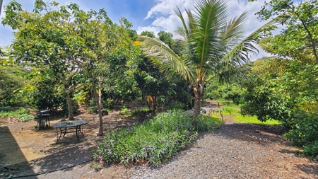 Organic Hawaiʻi mini farm with lush food forest and cozy 1BR home - image 38