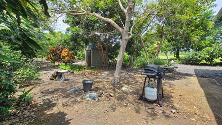 Organic Hawaiʻi mini farm with lush food forest and cozy 1BR home - image 37