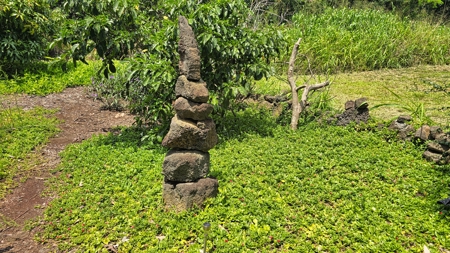 Organic Hawaiʻi mini farm with lush food forest and cozy 1BR home - image 41