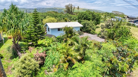 Organic Hawaiʻi mini farm with lush food forest and cozy 1BR home - image 3