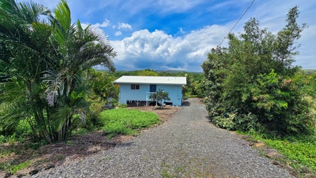 Organic Hawaiʻi mini farm with lush food forest and cozy 1BR home - image 21