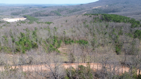 Newton County Jasper, Ar 4.5 Acre Land Building Site For Sale - image 3