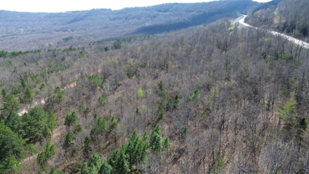 Newton County Jasper, Ar 4.5 Acre Land Building Site For Sale - image 7