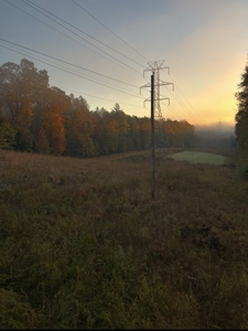 Hunting Land for Sale Pauline SC - image 2