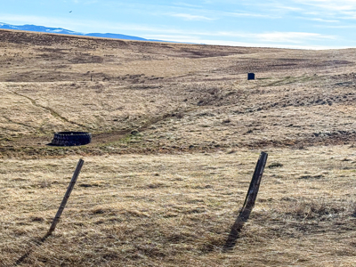 80 Acres | S of Lewistown, MT | Mountain Views - image 3