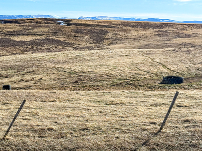 80 Acres | S of Lewistown, MT | Mountain Views - image 4