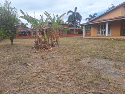 Spacious Home in Chame | 870 m² in Gated Community w/ Social area - image 4