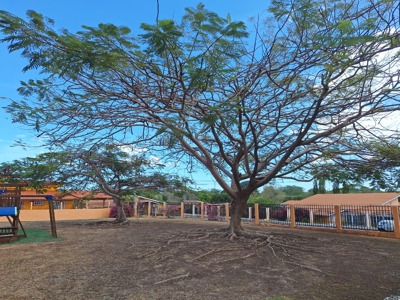 Spacious Home in Chame | 870 m² in Gated Community w/ Social area - image 30