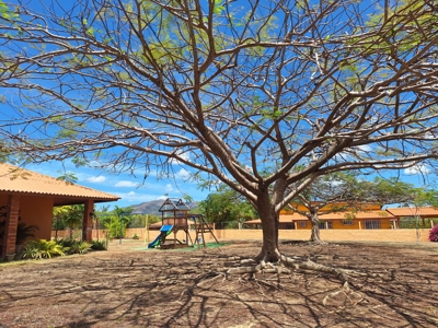 Spacious Home in Chame | 870 m² in Gated Community w/ Social area - image 32