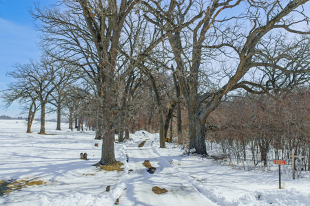 Private 14-Acre Retreat in Markesan WI - image 39