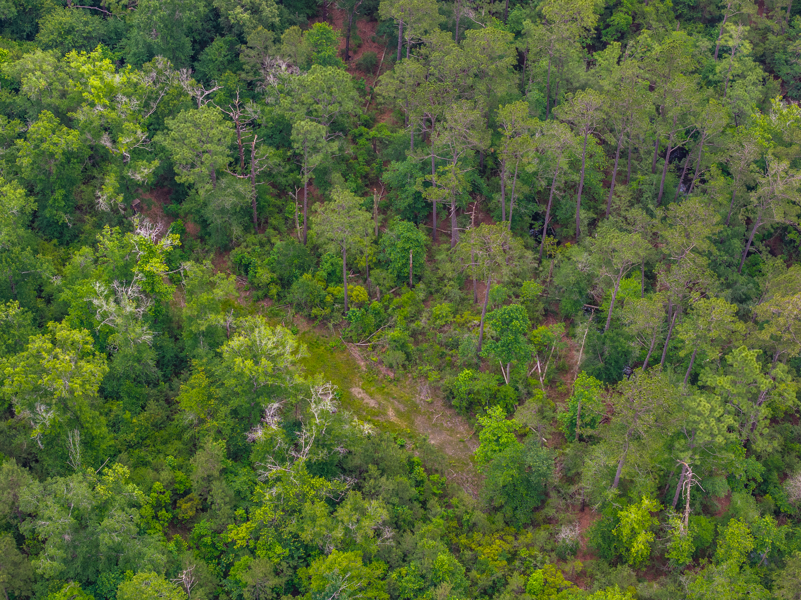 No Caption