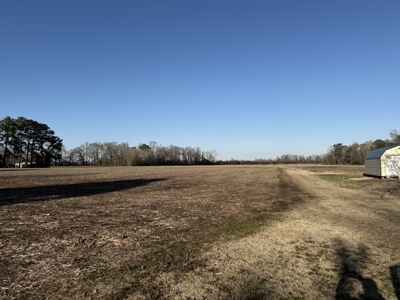 26-Acre Hunting & Farm Land Near Pungo Refuge on Hwy 45 - image 6