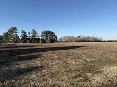 26-Acre Hunting & Farm Land Near Pungo Refuge on Hwy 45 - image 4
