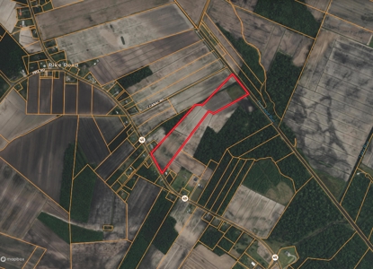 26-Acre Hunting & Farm Land Near Pungo Refuge on Hwy 45 - image 2