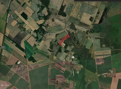 26-Acre Hunting & Farm Land Near Pungo Refuge on Hwy 45 - image 7