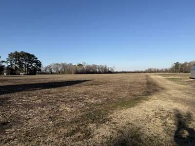 26-Acre Hunting & Farm Land Near Pungo Refuge on Hwy 45 - image 5