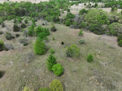 Discover this 54+ acre land located in the mineral rich Kosse - image 2