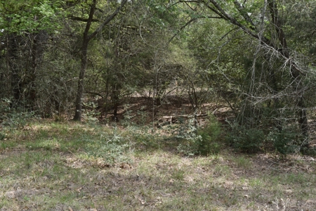 Discover this 54+ acre land located in the mineral rich Kosse - image 16