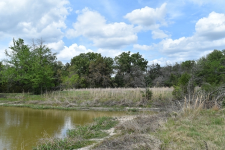 Discover this 54+ acre land located in the mineral rich Kosse - image 13