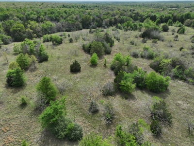 Discover this 54+ acre land located in the mineral rich Kosse - image 5