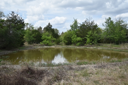Discover this 54+ acre land located in the mineral rich Kosse - image 12