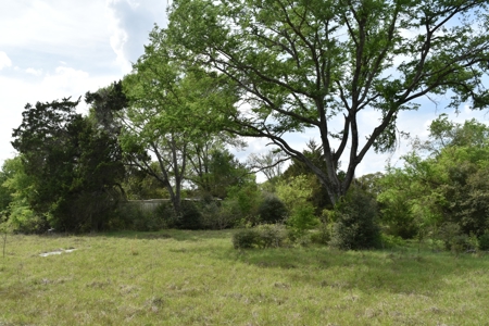 Discover this 54+ acre land located in the mineral rich Kosse - image 19