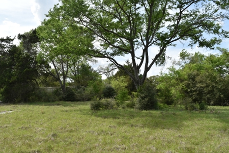 Discover this 54+ acre land located in the mineral rich Kosse - image 20