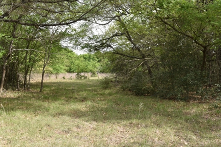 Discover this 54+ acre land located in the mineral rich Kosse - image 15