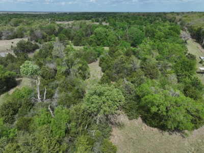 Discover this 54+ acre land located in the mineral rich Kosse - image 7
