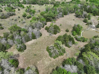 Discover this 54+ acre land located in the mineral rich Kosse - image 11