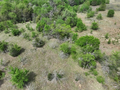 Discover this 54+ acre land located in the mineral rich Kosse - image 3