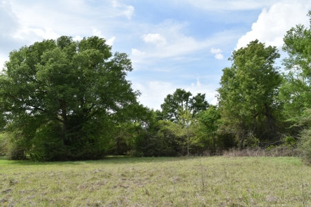 Discover this 54+ acre land located in the mineral rich Kosse - image 18