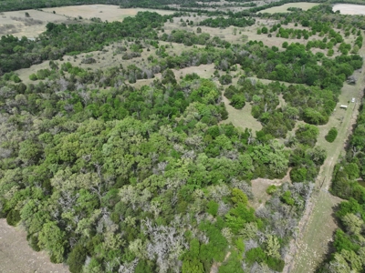 Discover this 54+ acre land located in the mineral rich Kosse - image 10