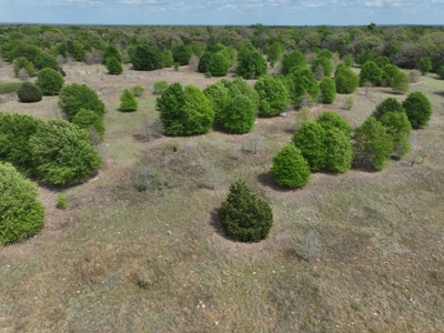 Discover this 54+ acre land located in the mineral rich Kosse - image 6