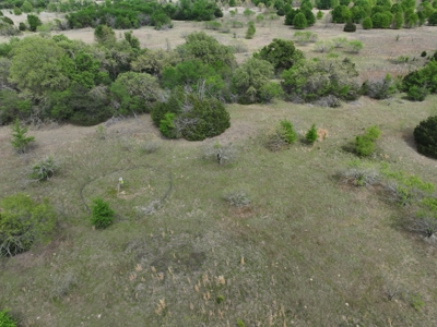 Discover this 54+ acre land located in the mineral rich Kosse - image 1