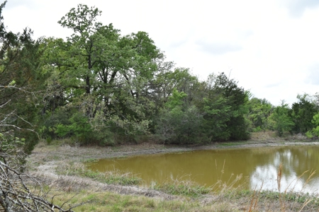 Discover this 54+ acre land located in the mineral rich Kosse - image 14