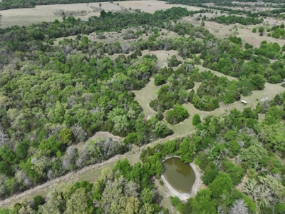 Discover this 54+ acre land located in the mineral rich Kosse - image 9