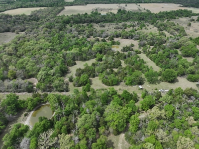 Discover this 54+ acre land located in the mineral rich Kosse - image 8