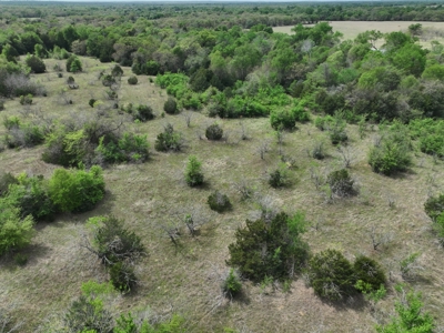 Discover this 54+ acre land located in the mineral rich Kosse - image 4