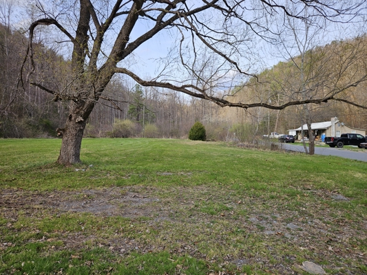 Land for Sale in Ripplemead, VA