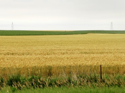 Mega Irrigated Farm in Central South Dakota - image 18